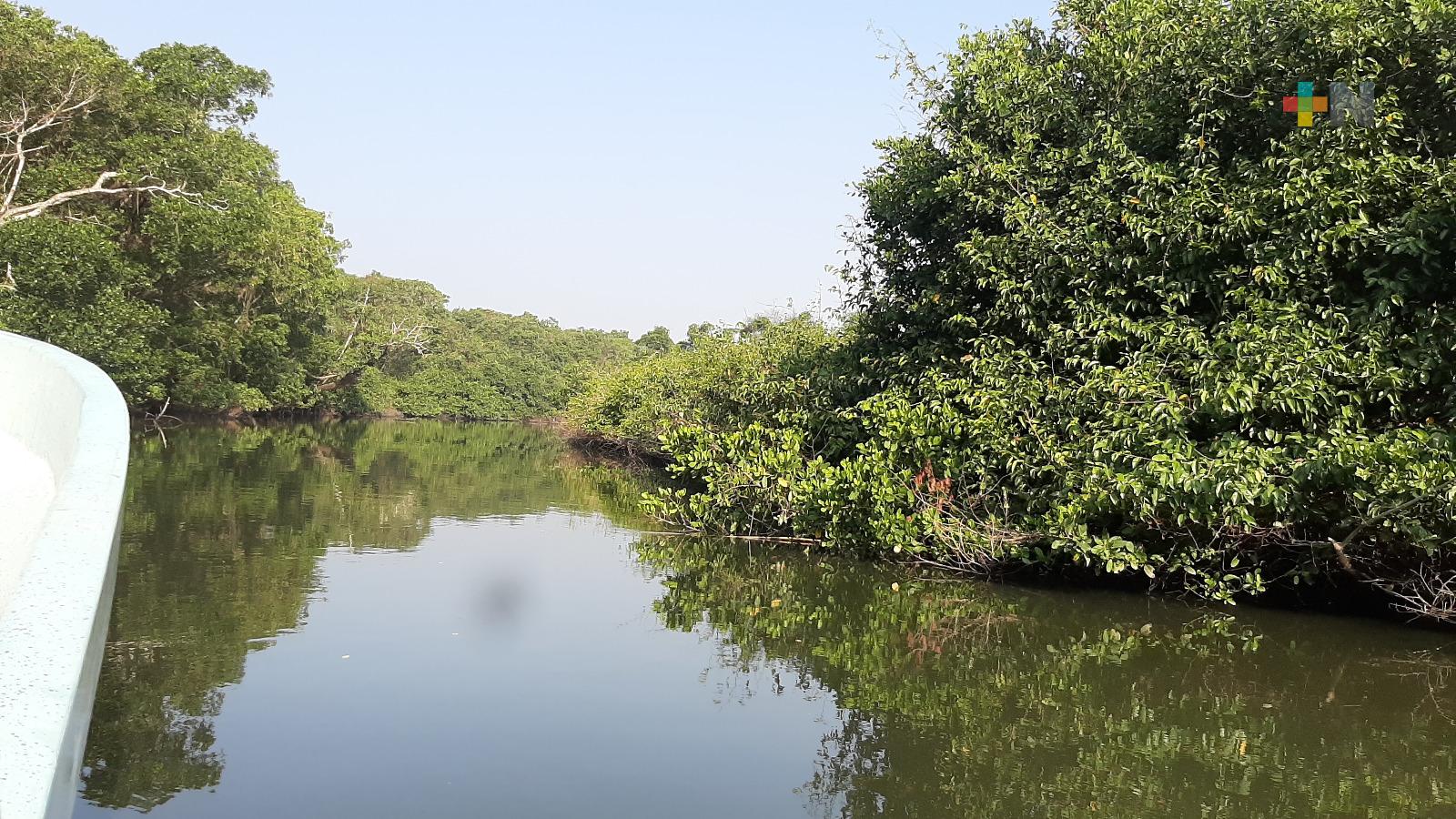 Invita «GreenFriends» a jornada de limpieza en Arroyo Moreno