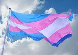Asociación Trans-formando vidas anuncian posible manifestación ante acoso laboral