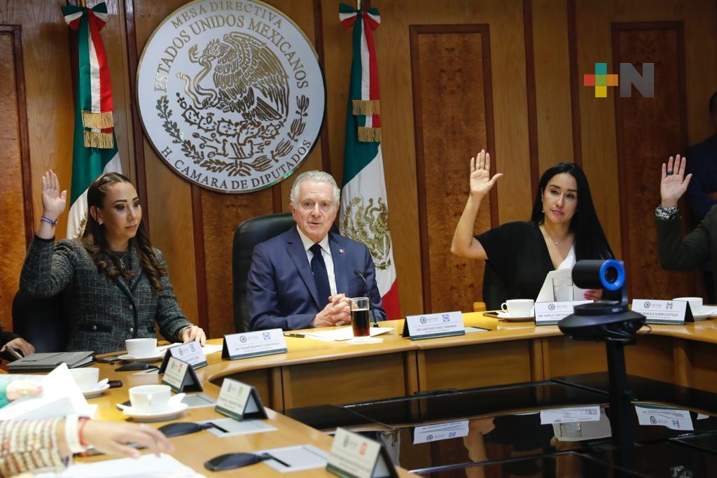 Por unanimidad, aceptan renuncia al cargo de presidente de la Cámara de Diputados