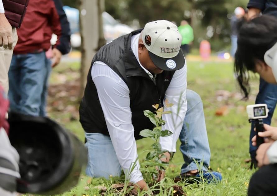 Encabeza Eric Cisneros reforestación en áreas verdes y camellones del libramiento Xalapa-Coatepec