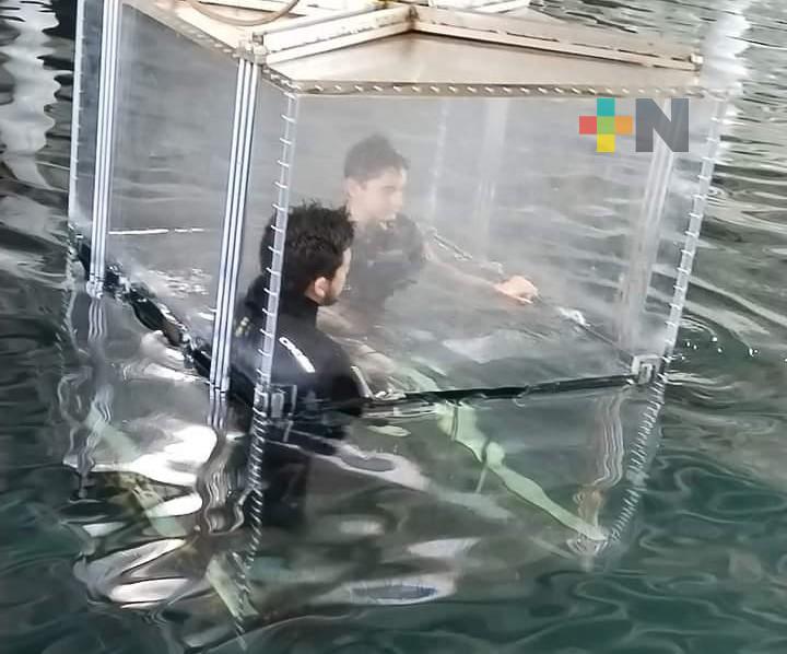 Adolescente celebra cumpleaños con tiburones en Aquarium de Veracruz