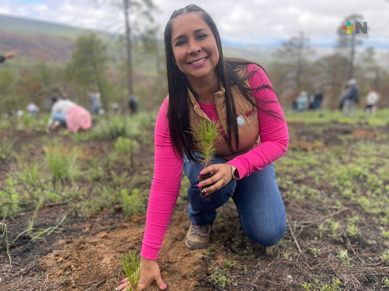 Todo listo para el regreso a clases del nivel básico en Veracruz: SEV