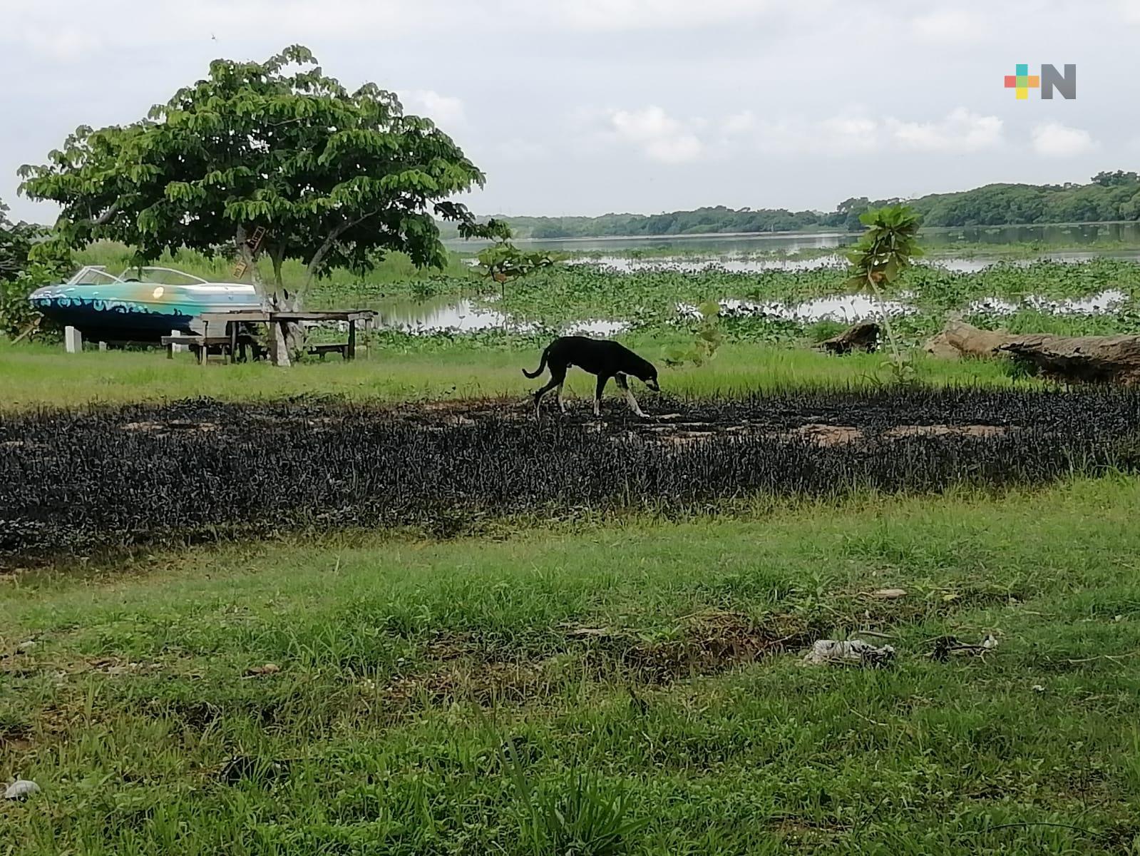 Reabren La Playita de Nanchital tras derrame de crudo