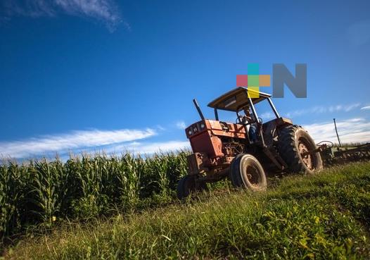 Ofrece Agricultura información en torno a escenarios climáticos y efectos en cultivos