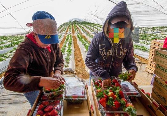 Participa México en reunión ministerial de seguridad alimentaria de APEC