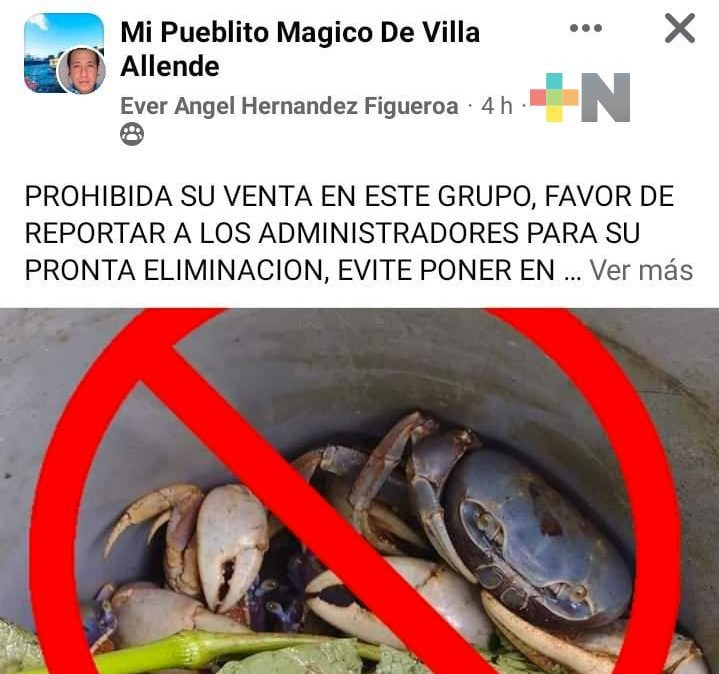 Piden no vender cangrejo azul en grupos de Facebook