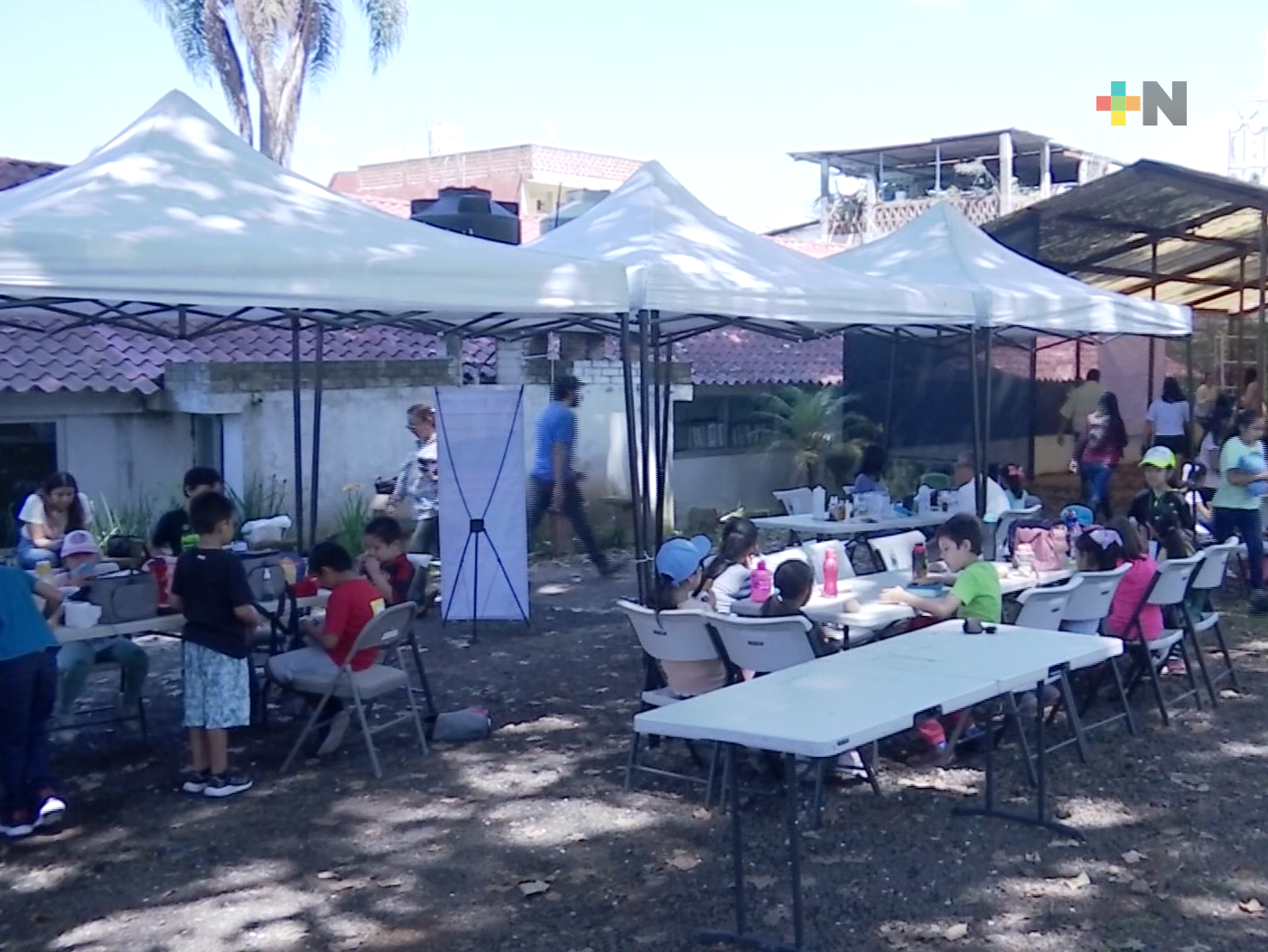 «Sembrando guardianes forestales”, curso de verano organizado por Sedema