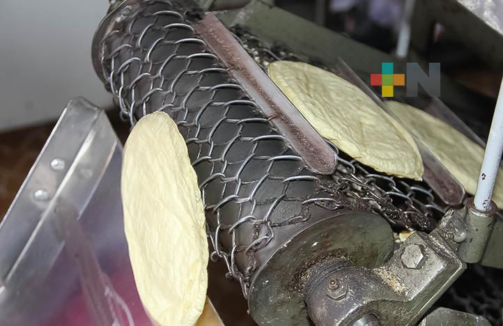 Expertos analizarán resolución de controversia sobre maíz transgénico