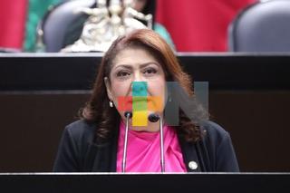 Buscan endurecer sanciones contra el maltrato y crueldad animal en Código Penal Federal