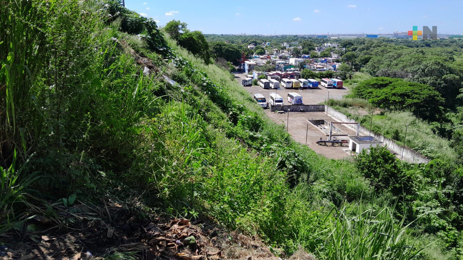 Rescatan a adulto mayor que cayó a barranco de 30 metros en Veracruz puerto