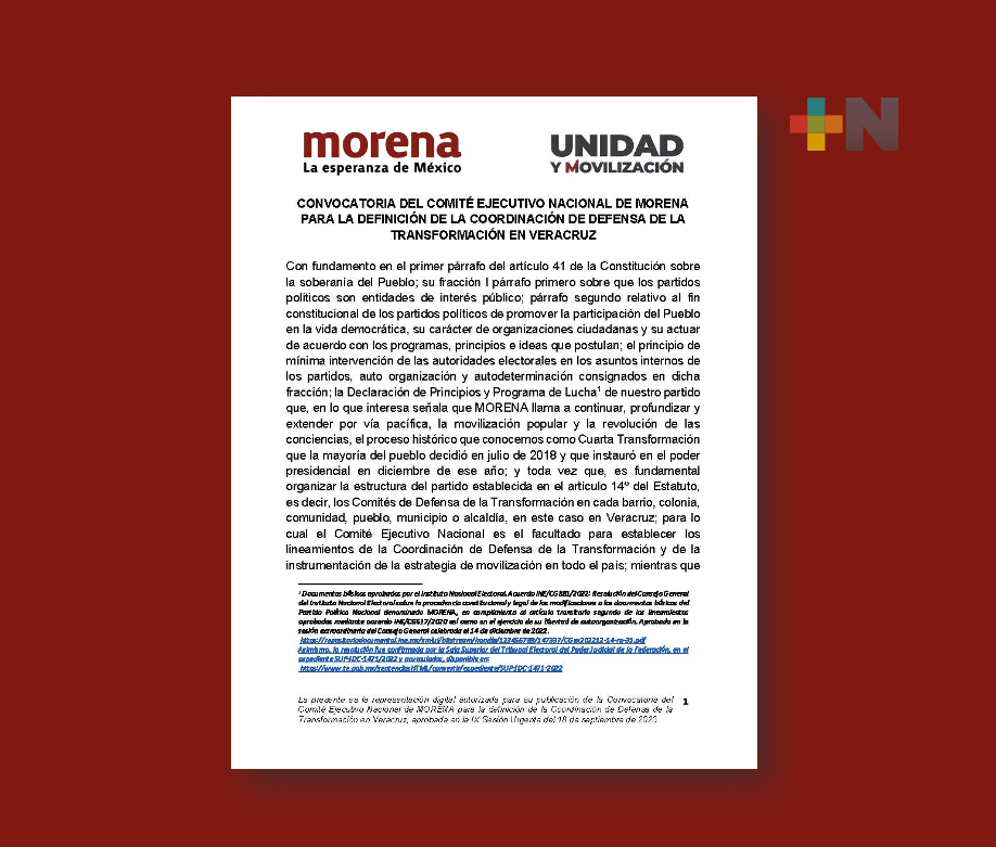 Morena definió convocatoria para Coordinación de la Defensa de la 4T en Veracruz: Esteban Ramírez