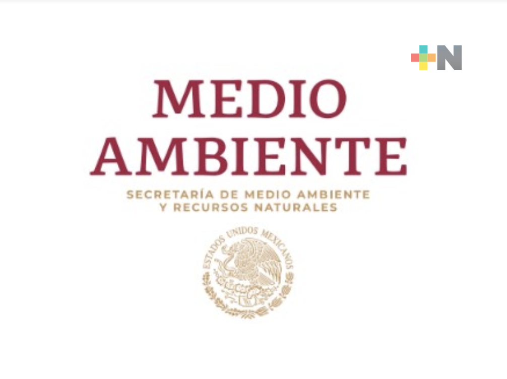 México informó a UNESCO resultados de las acciones para la protección de la Vaquita Marina