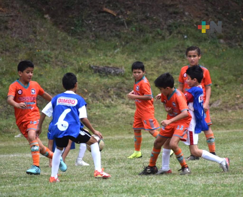 Delfines de Xalapa Sub-15 se alista para la Liga Nacional Juvenil