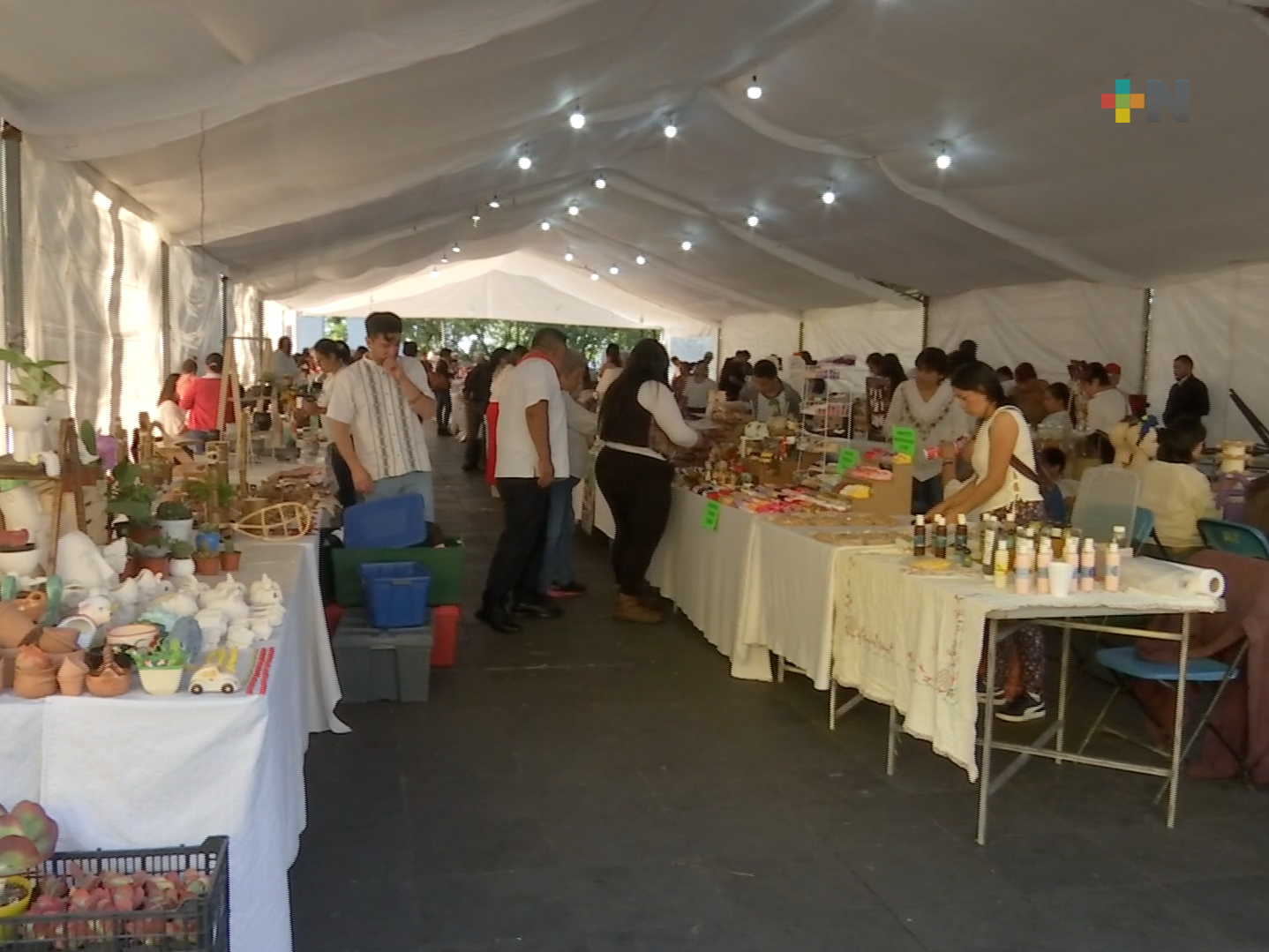 Expo venta artesanal y de emprendimiento “Mi querido Veracruz” en parque Juárez