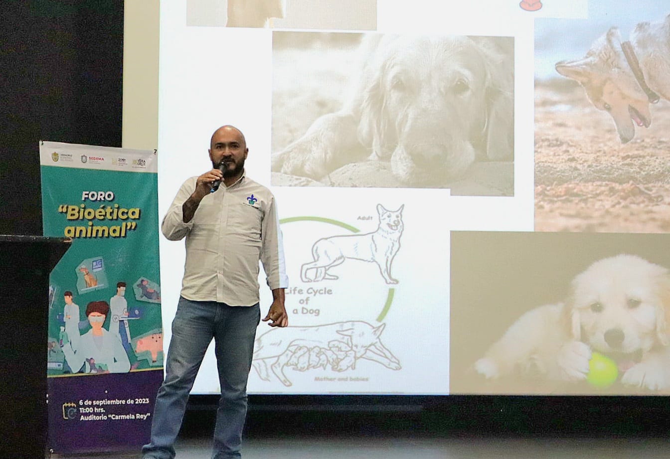 Dar trato digno a los animales, son sensibles ante el dolor y sufrimiento igual que los humanos: académicos