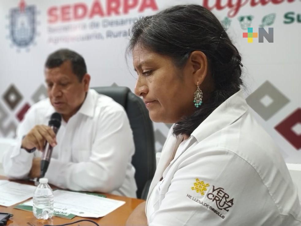Veracruz apuesta por reducir costos a través de la transferencia de tecnología con el uso de microorganismos