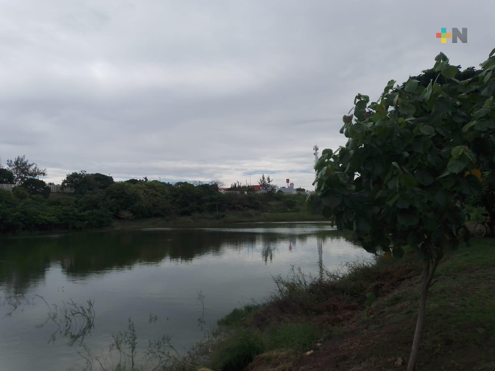 Ayuntamiento de Veracruz sin dar mantenimiento a laguna del Encanto, denuncian vecinos