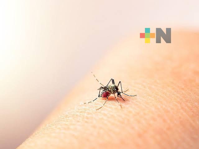 Ayuntamiento de Coatepec reforzará campaña para prevenir casos de dengue
