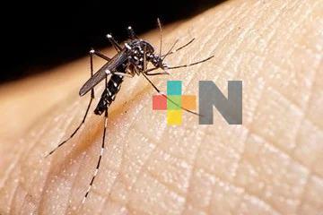 Acción ciudadana es vital para evitar proliferación de mosco transmisor de dengue