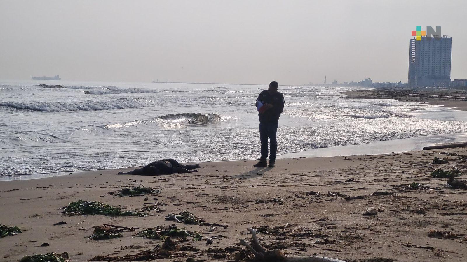 Localizan a persona sin vida en playa de Coatzacoalcos