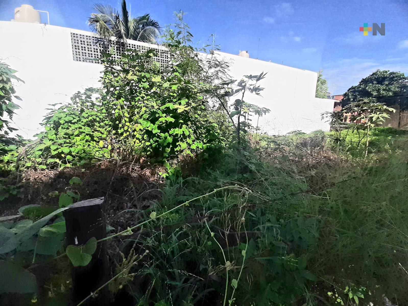 Piden se limpie terreno baldío en Boca del Río