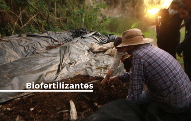 Biofertilizantes, nutrición integral y respeto al medio ambiente