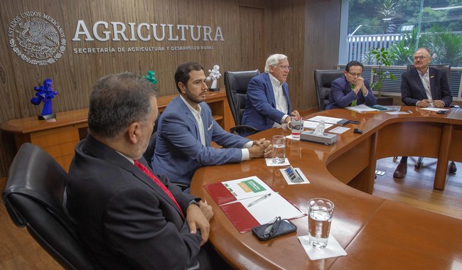 Pone en marcha Agricultura plan agronómico integral para proteger la producción nacional de cítricos