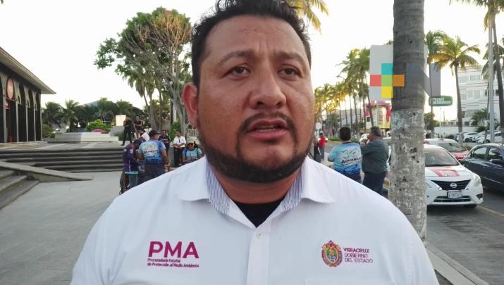 Siguen las acciones para atraer más visitas en Aquarium de Puerto de Veracruz