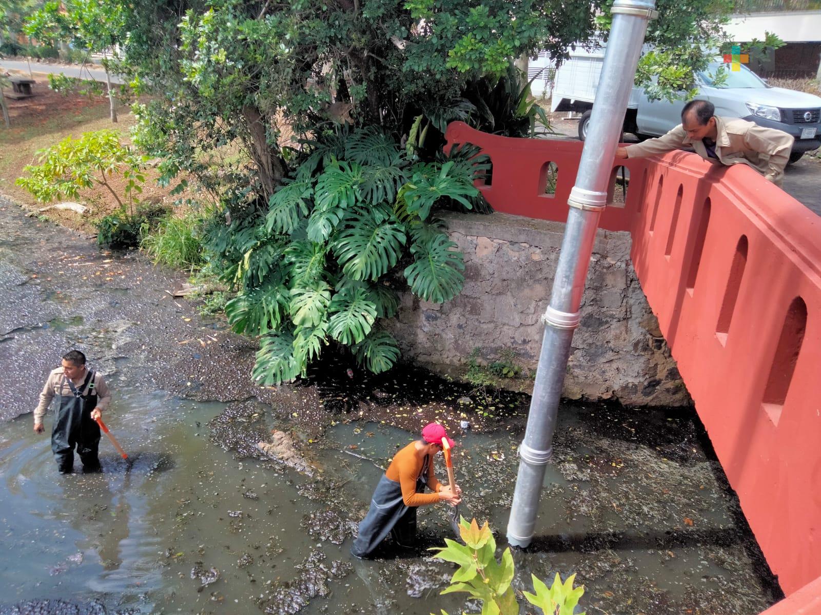 Limpiaron parte contaminada del Lago de las Ánimas