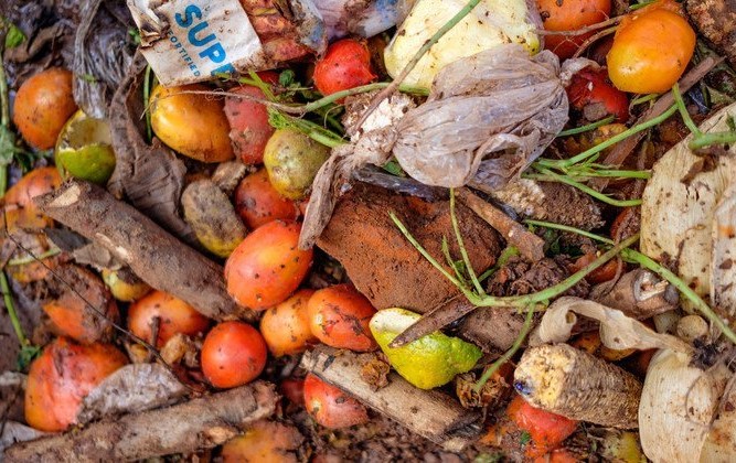 Más de un 30% de todos los alimentos del mundo terminan en la basura