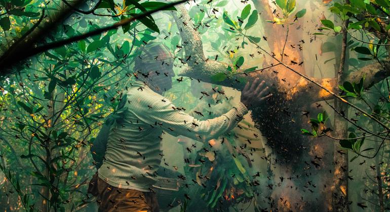 Unesco ha inscrito 42 nuevos sitios en la Lista del Patrimonio Mundial