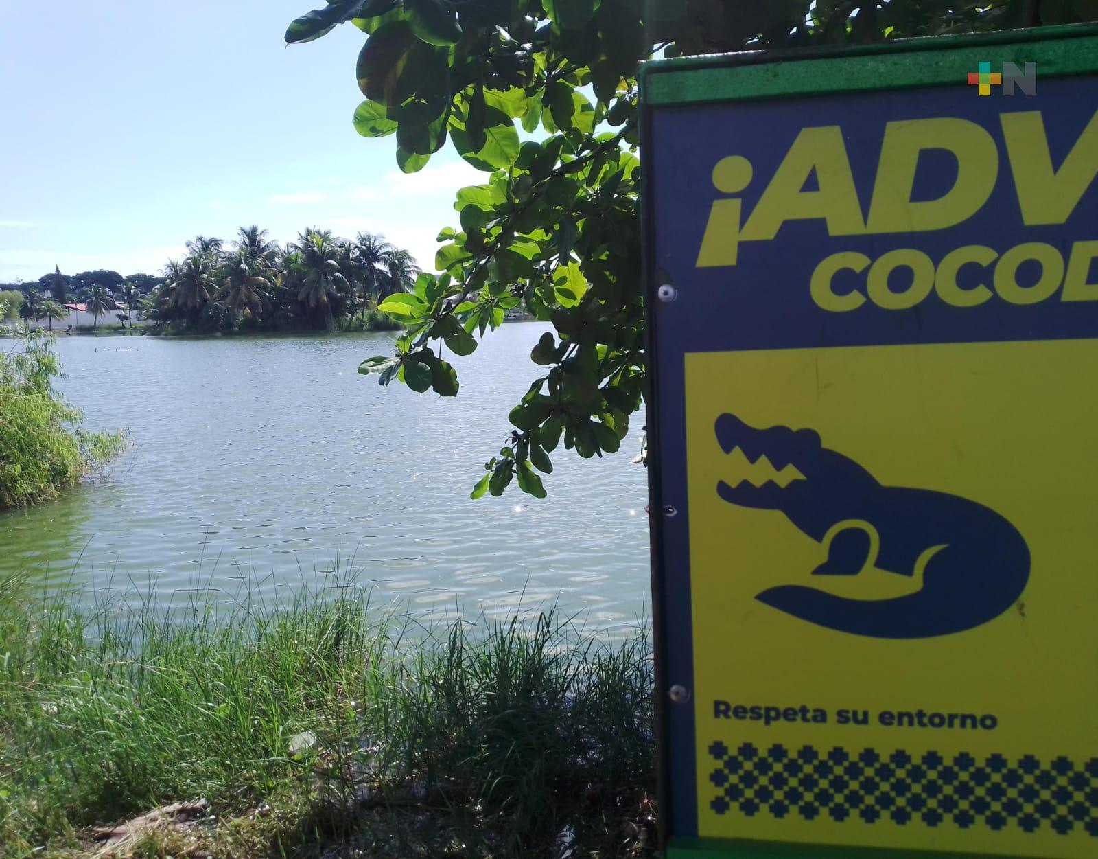 Pescan en laguna de Malibrán a pesar de presencia del cocodrilo