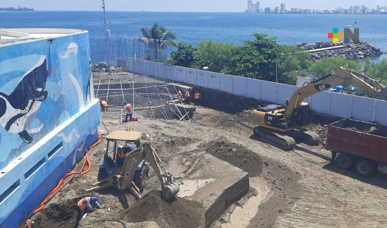 Continúa construcción del recinto para lobos marinos en el Aquarium de Veracruz