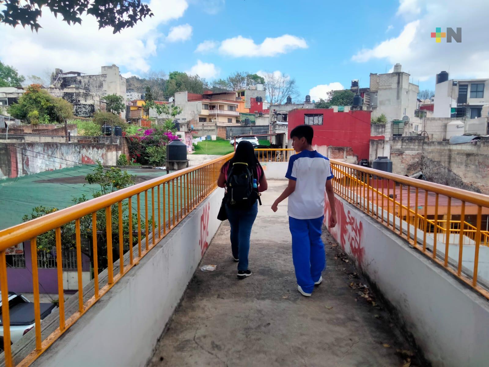 Xalapeños piden no retirar puente peatonal frente a Facultad de Economía