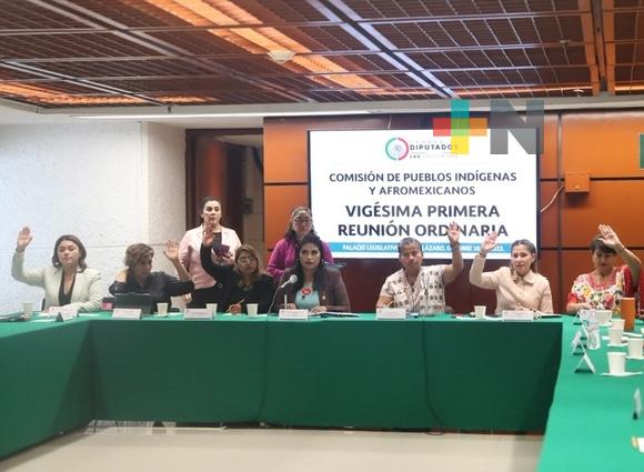 Proponen que Cámara de Diputados celebre el Día Nacional de la Niña Indígena y Afromexicana