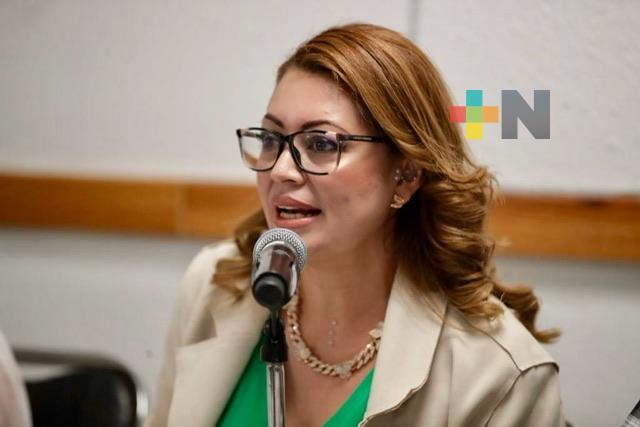 México debe preparar una transición que proteja derechos de personas mayores: Diputada