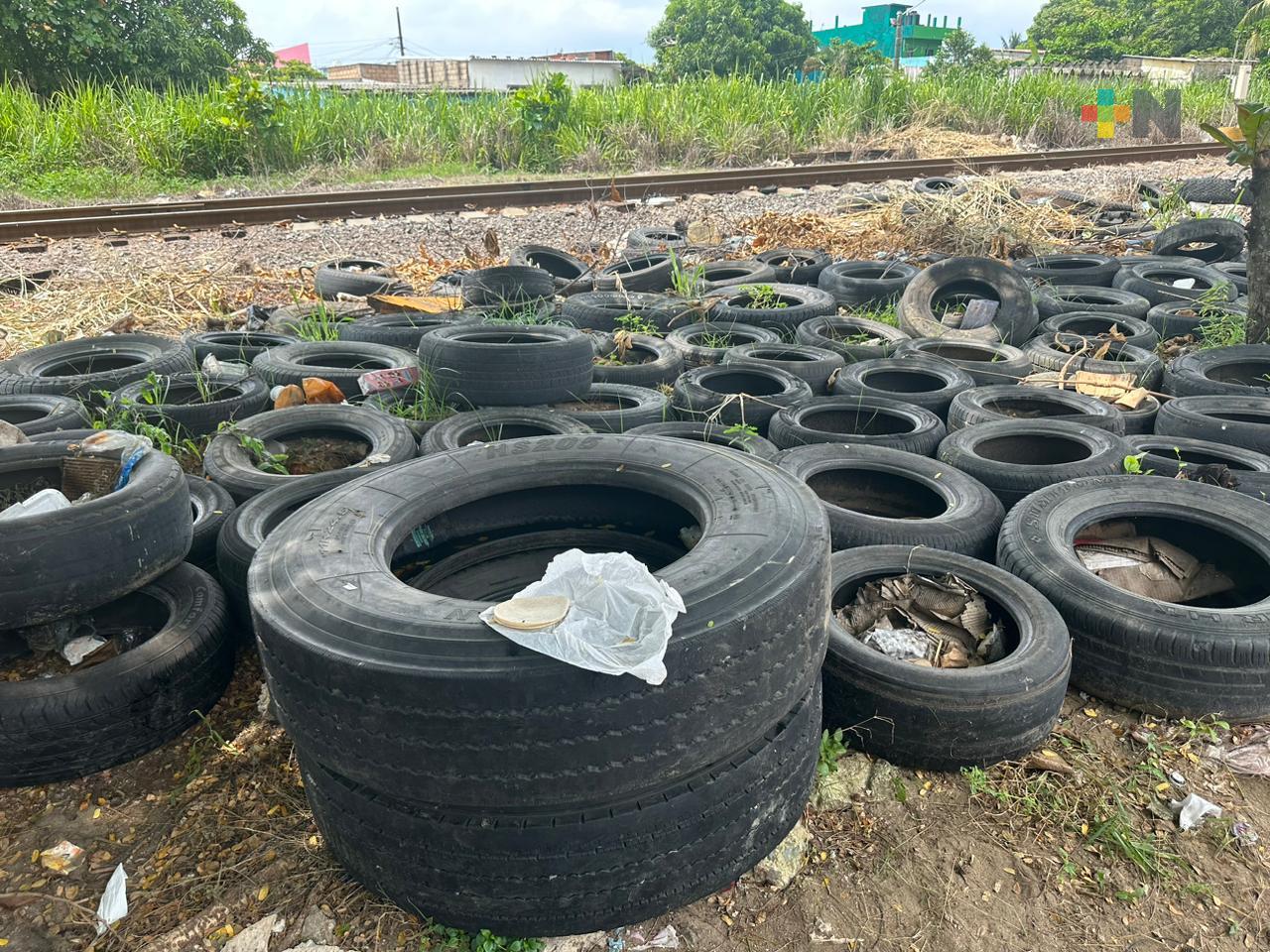 Vecinos de Coatza denuncian «cementerio» de llantas; temen propagación de mosco transmisor de dengue