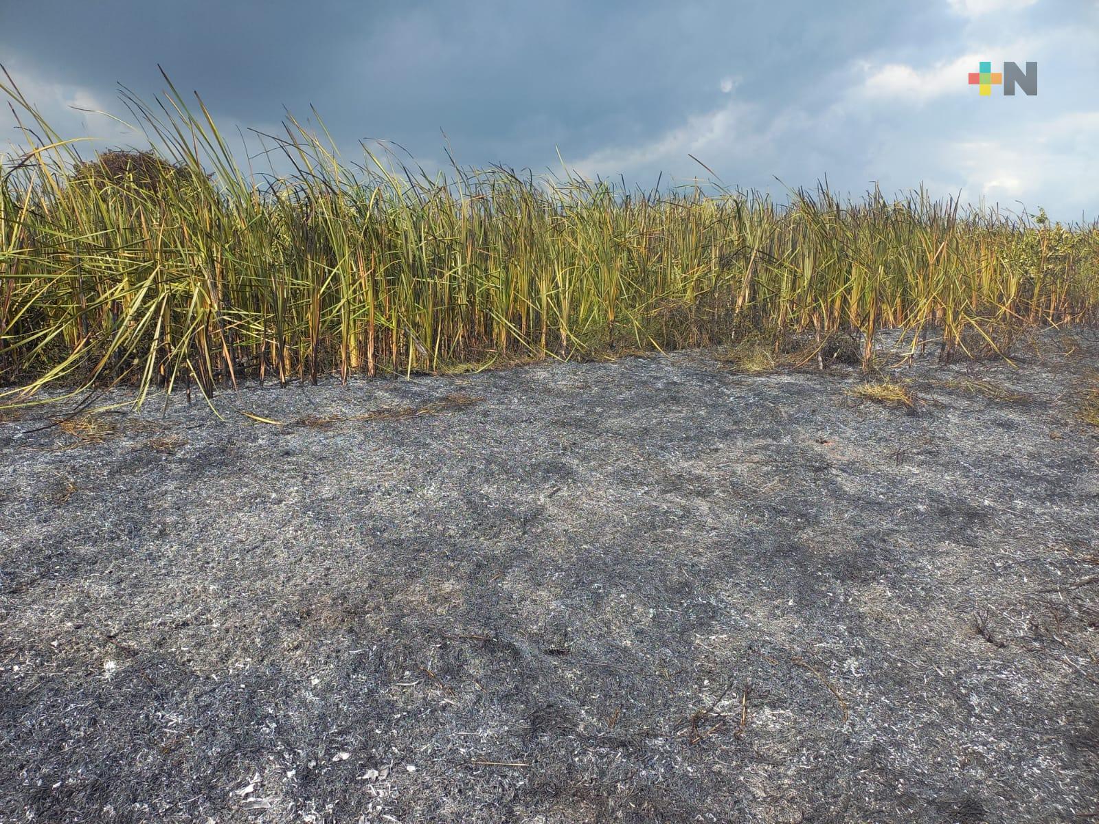 Controlado el incendio en manglares de Nautla