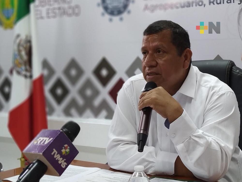 En Veracruz aumenta la producción de alimentos sin agroquímicos