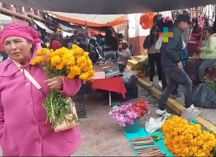 Comerciantes de Huayacocotla se preparan para festividades de Todos Santos