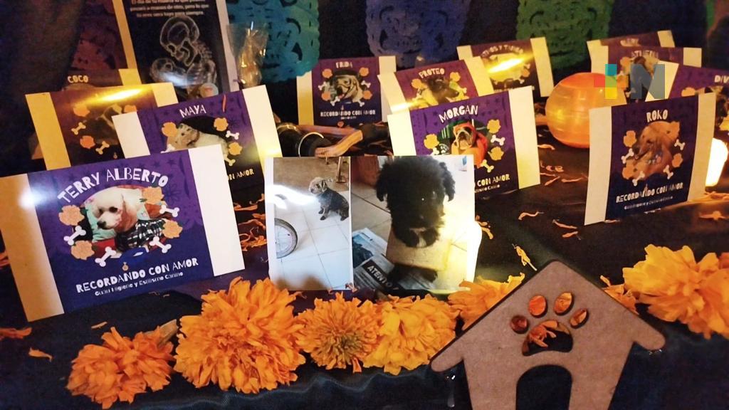 Instalan ofrenda dedicada a mascotas fallecidas en Coatzacoalcos