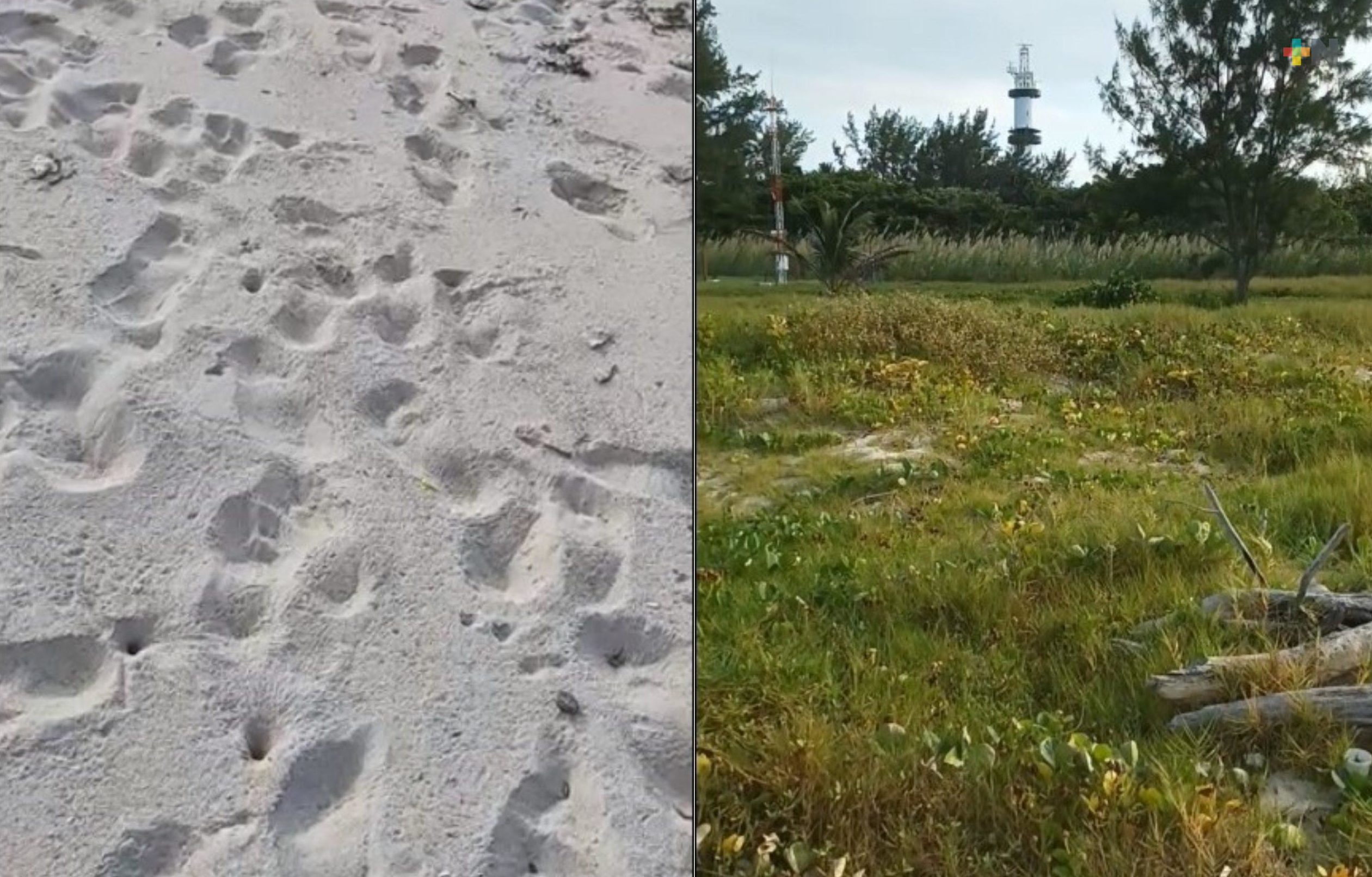 Personas visitan ilegalmente isla de Sacrificios; es zona natural protegida