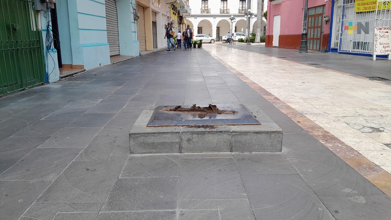 Roban monumento de «La Negra» Graciana; vecinos argumentan falta de vigilancia