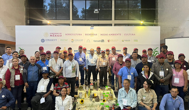 Productores de maíces nativos respaldan decreto presidencial sobre maíz transgénico y glifosato