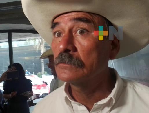 Aumentan interés de nuevas generaciones por ser jinetes en el estado de Veracruz