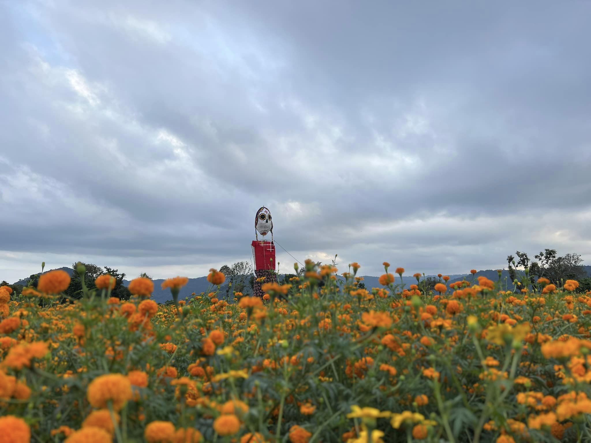 Celebran Día de Muertos con sus tradiciones en San Pablo Coapan, Naolinco