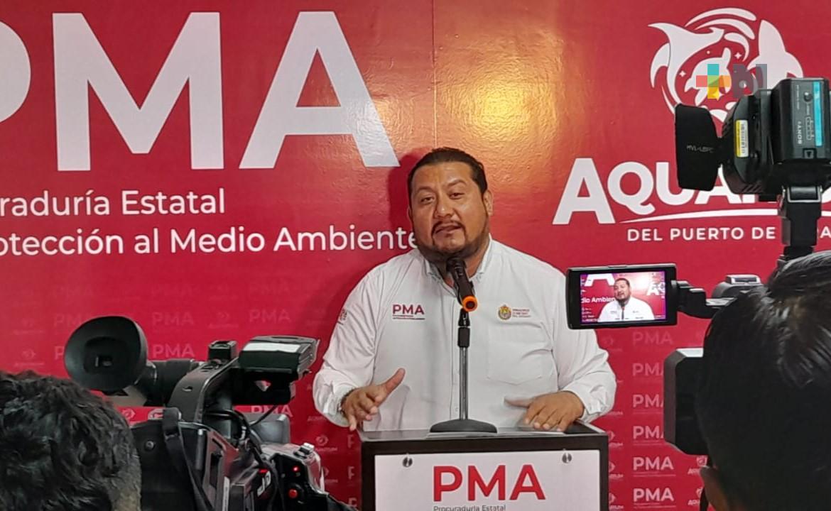 Se ha multado a empresas de Veracruz que incumplieron con normas medioambientales: Sergio Rodríguez