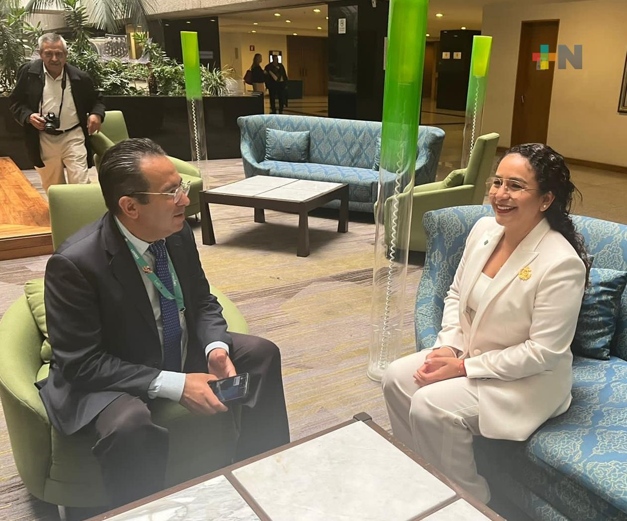 Comisión Nacional de Elecciones de Morena incluye a Citlalli Navarro en la encuesta final por Veracruz