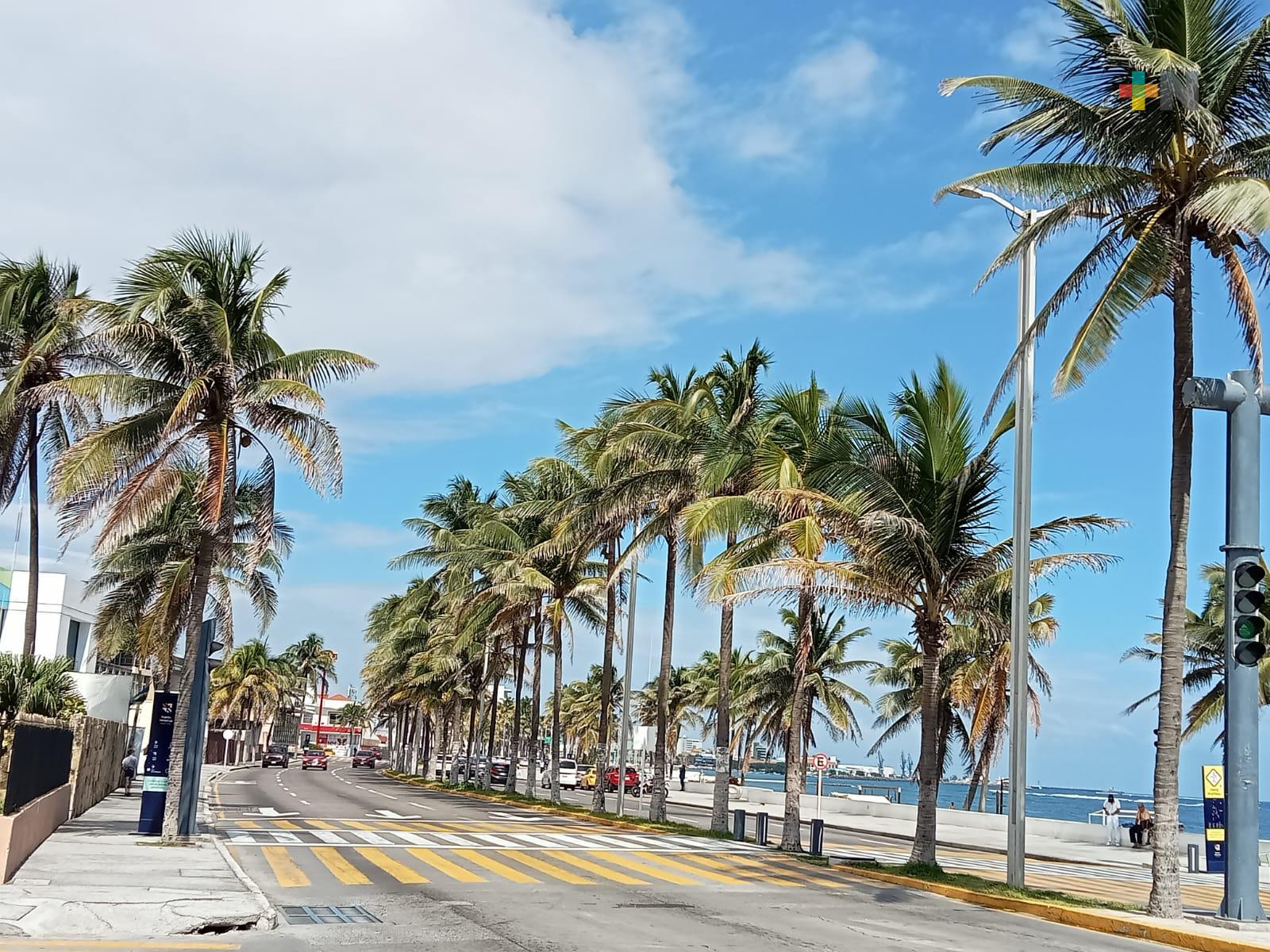 Ambiente mayormente soleado en Veracruz-Boca del Río; probabilidad de lluvias para fin de semana