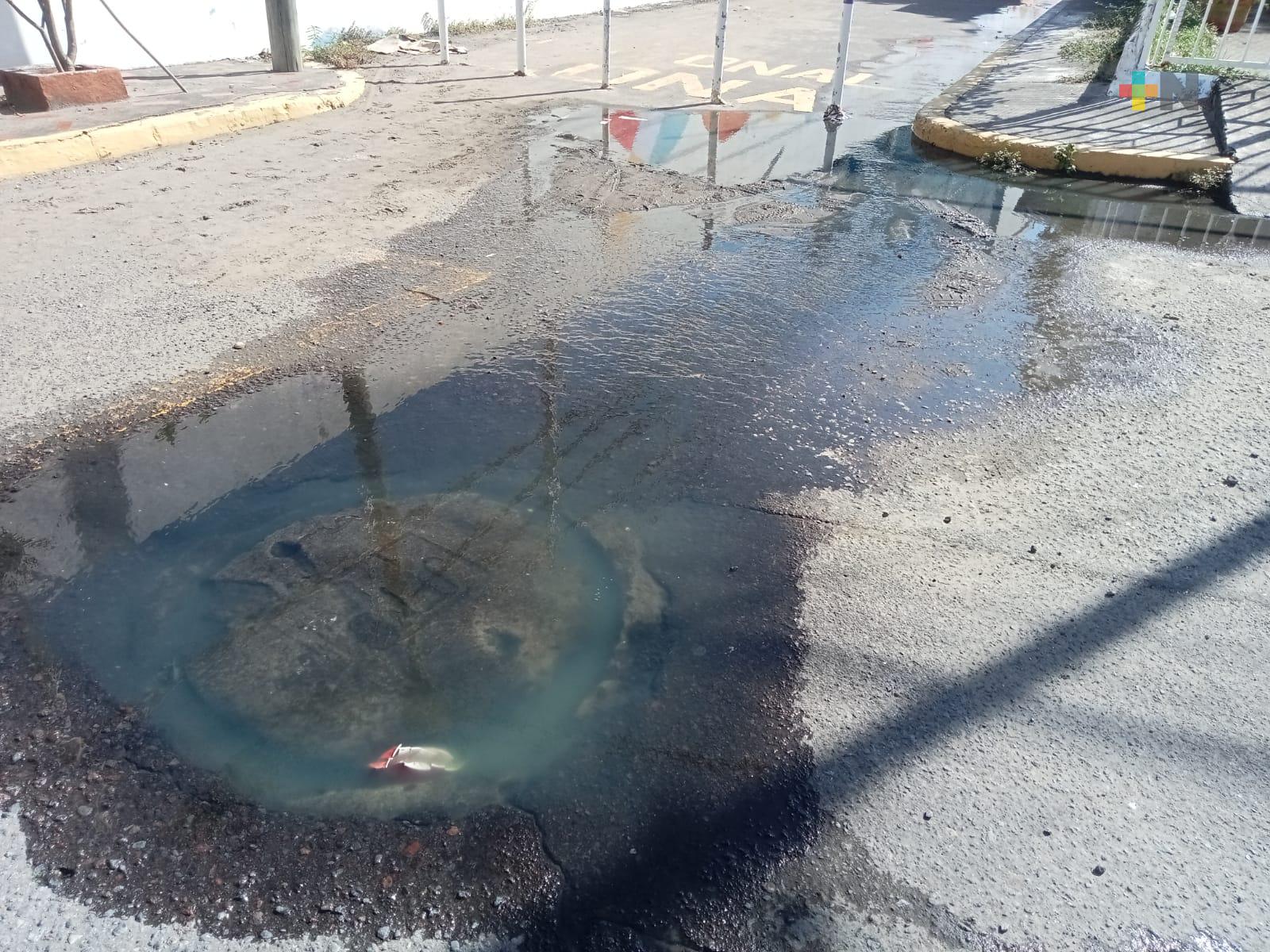Reportan fuga de aguas negras en colonia Electricistas de Veracruz puerto